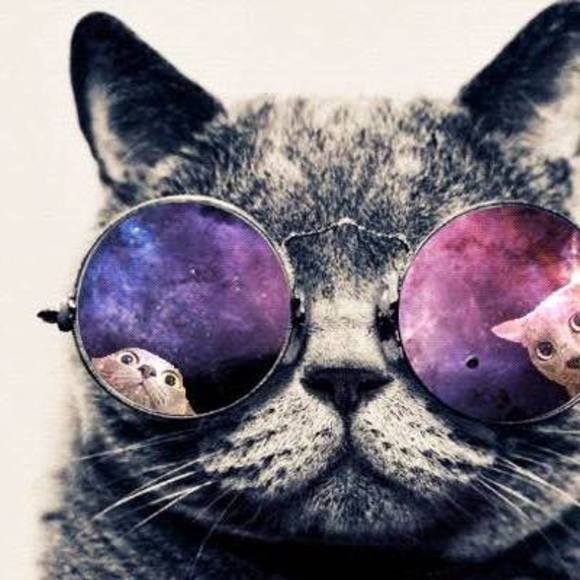 Meet your Posher, Lyn - Picture 1 of 1